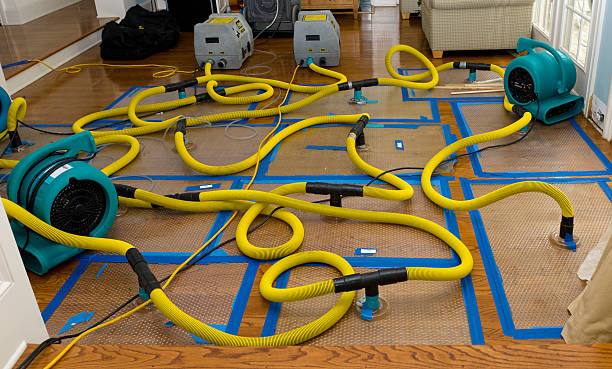 Professional Sewage Cleanup technician working in Doyle, TN